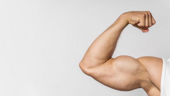 Oximetolona: Acción Farmacológica